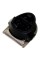Блок ножей Babyliss 35007270 - набор лезвий 34мм