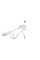 300006548351 Кабель USB Sonicare C, белый