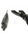 Сетевой адаптер для бритвы Remington — Classic PSE50288 EU — зарядное устройство европейского стандарта 5 В-1 А, подходящее для бритвы Remington